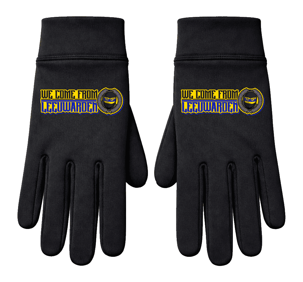 We come from Leeuwarden Gloves