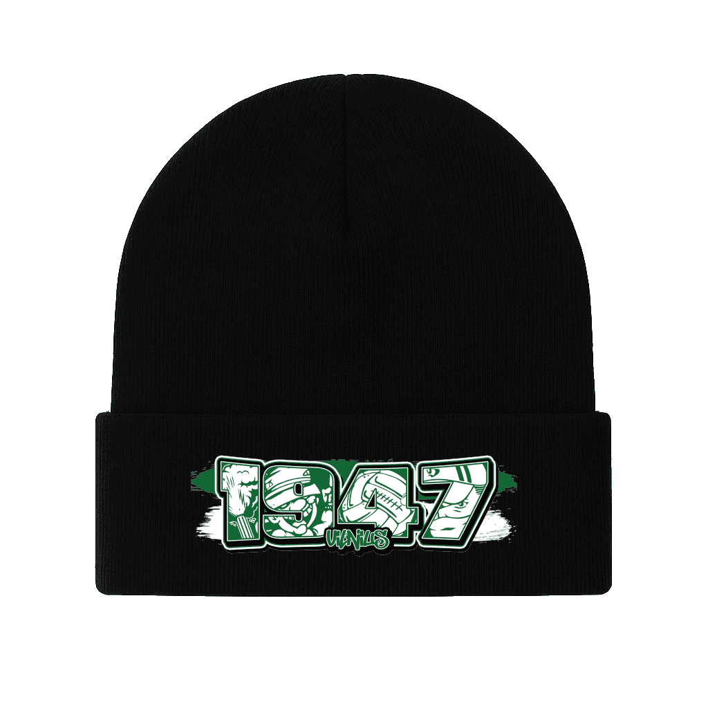 1947  Vilnius Beanie
