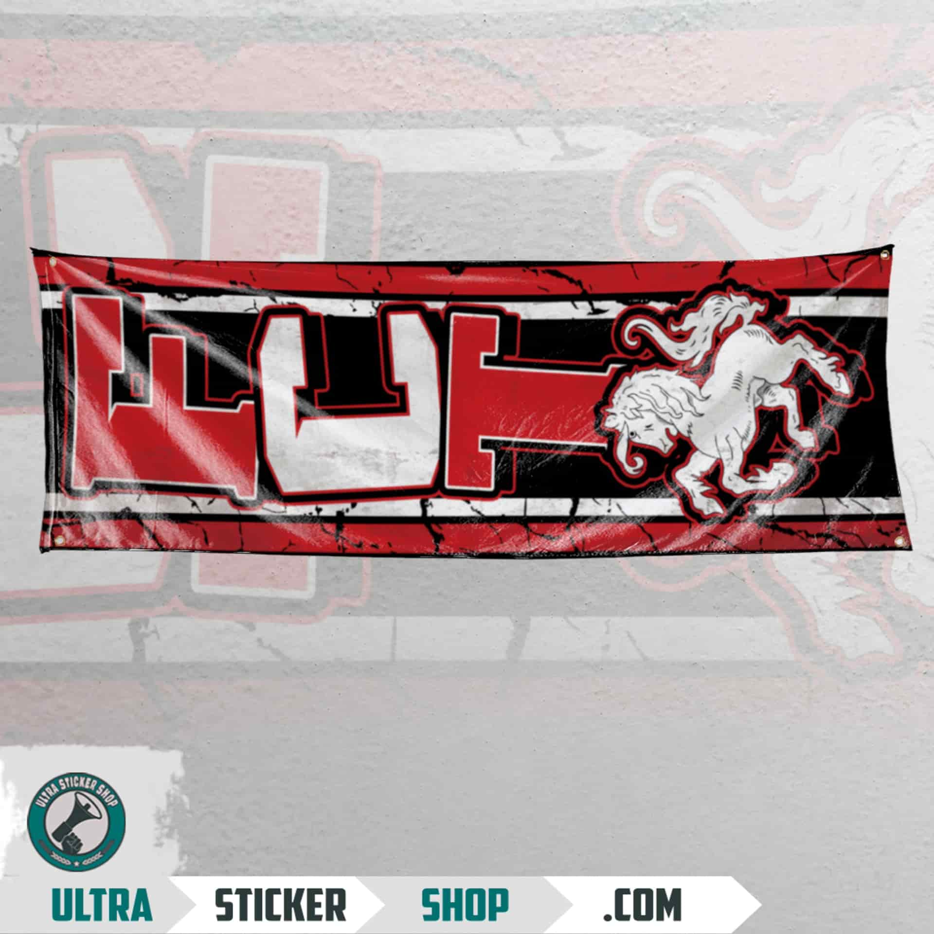 FCT Flag