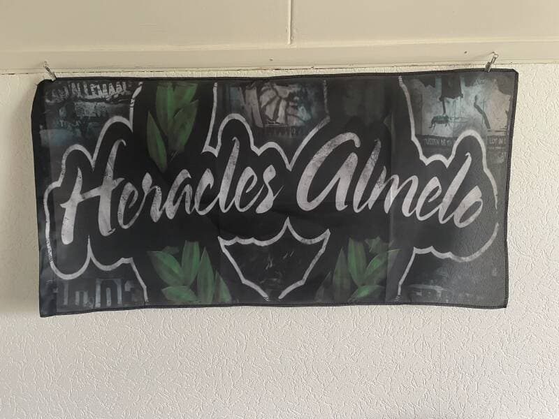 Heracles Almelo