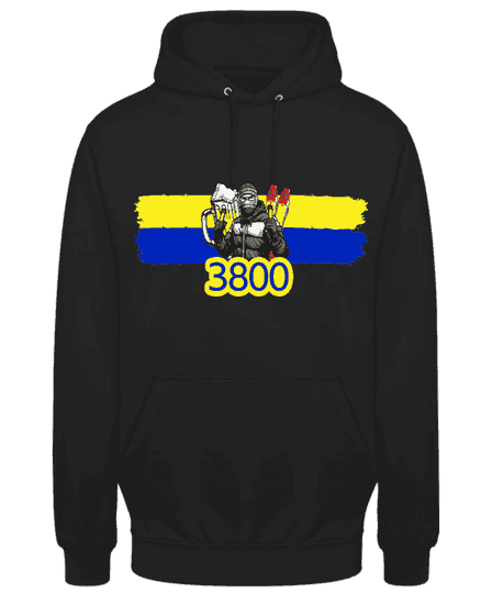 3800 Hoodie