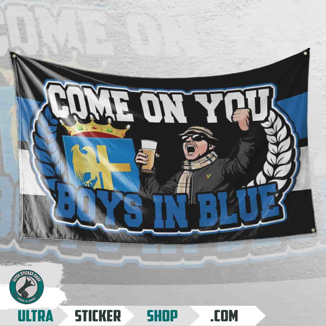 Come on you boys in blue Flag