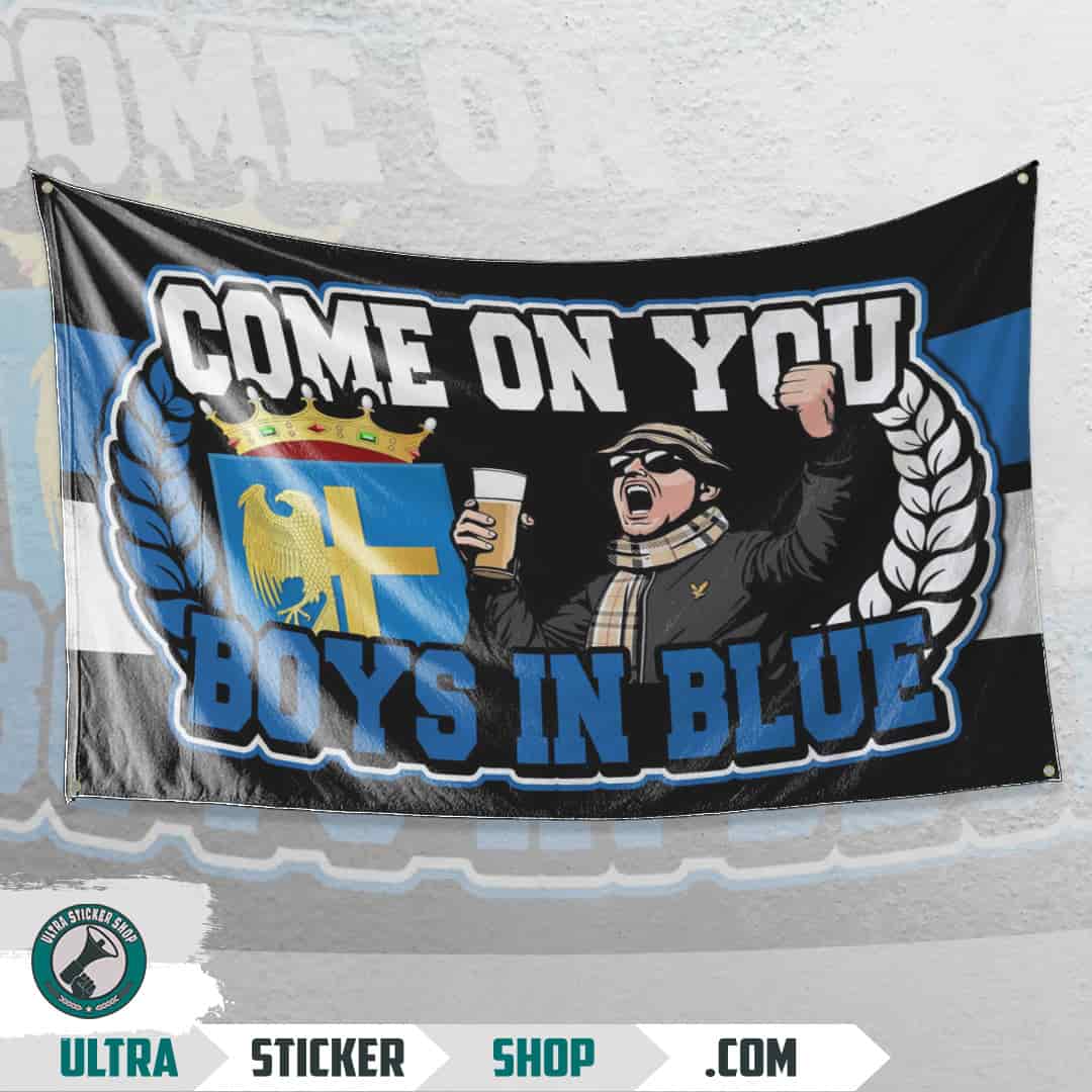 Come on you boys in blue Flag