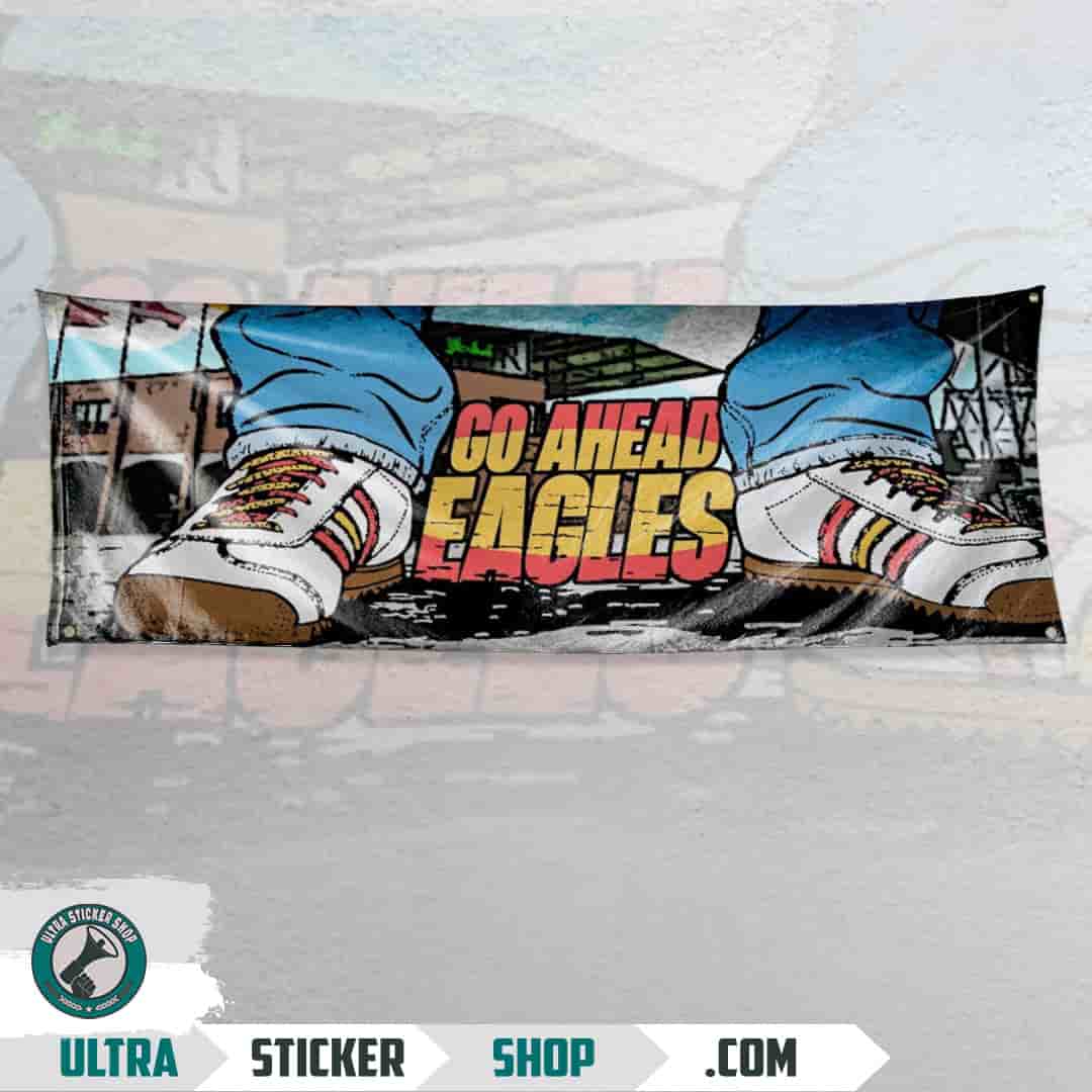 Go ahead eagles Flag