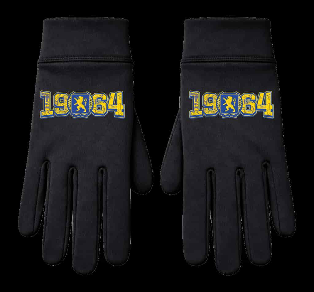 1964 Leeuwarden wapen Gloves