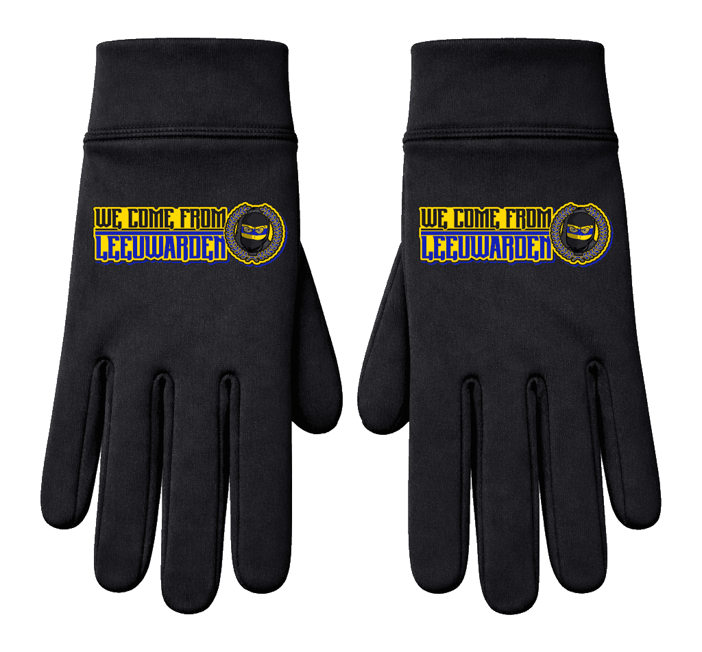 We come from Leeuwarden Gloves