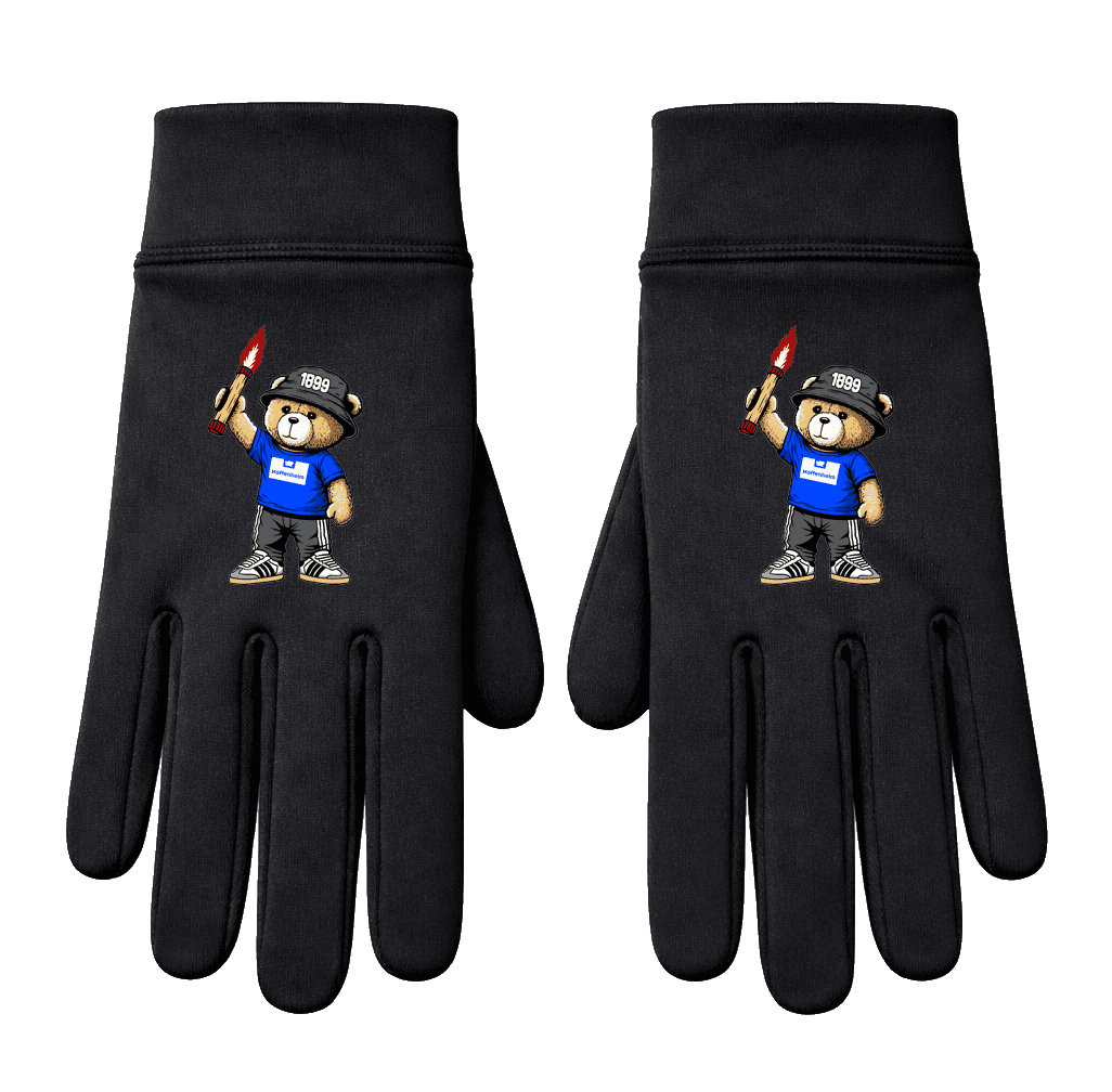 Hoffenheim 1899 bear Gloves