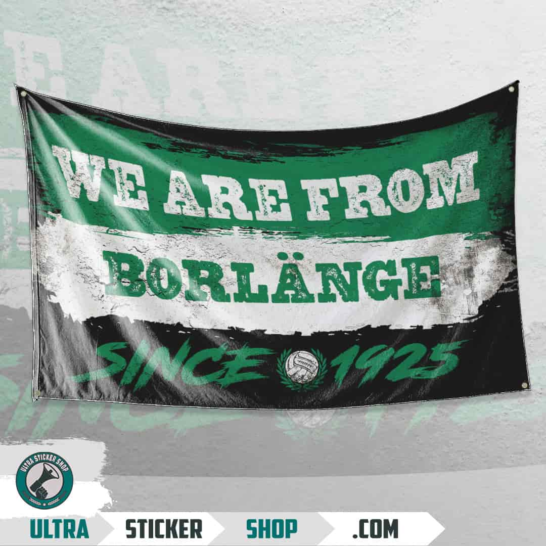 We are from Borlänge since 1925 Flag