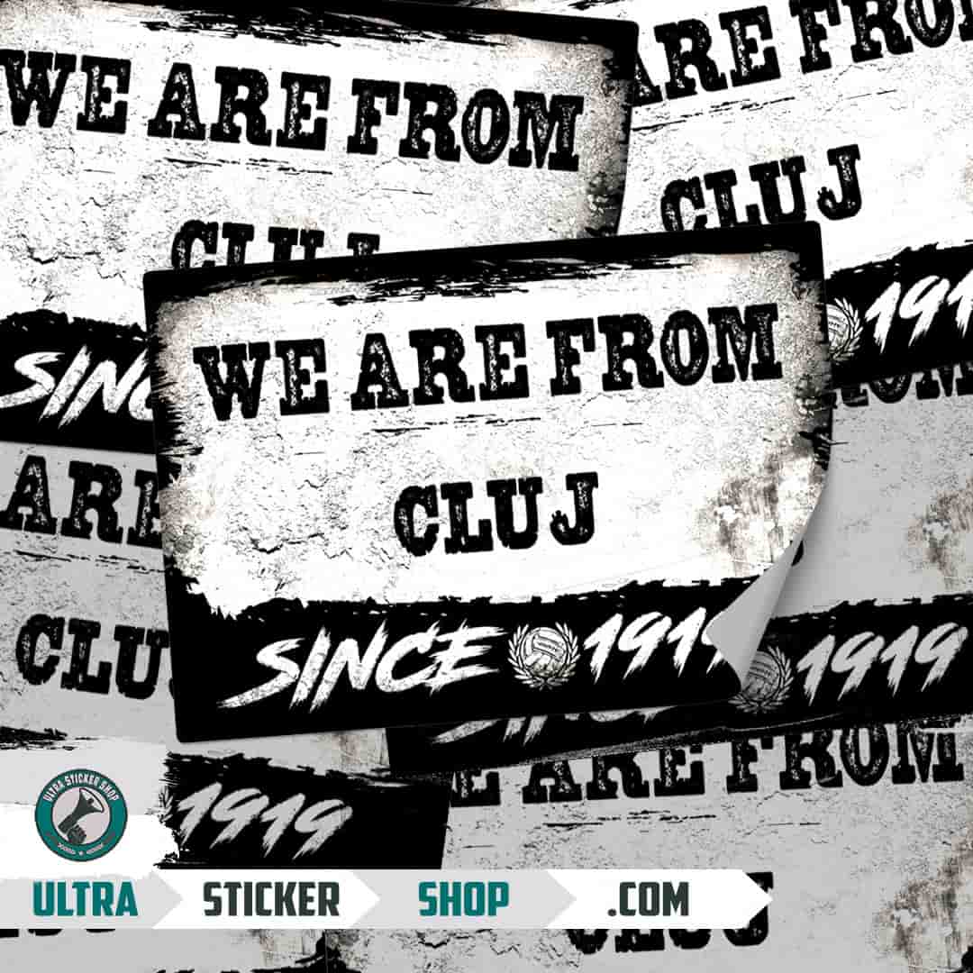 We are from Cluj since 1919 Stickers