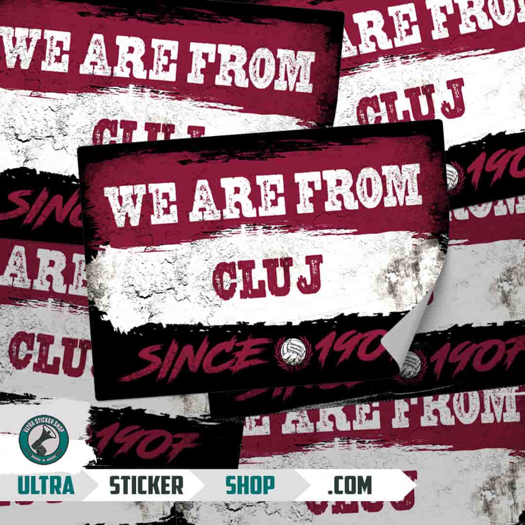We are from Cluj since 1907 Stickers
