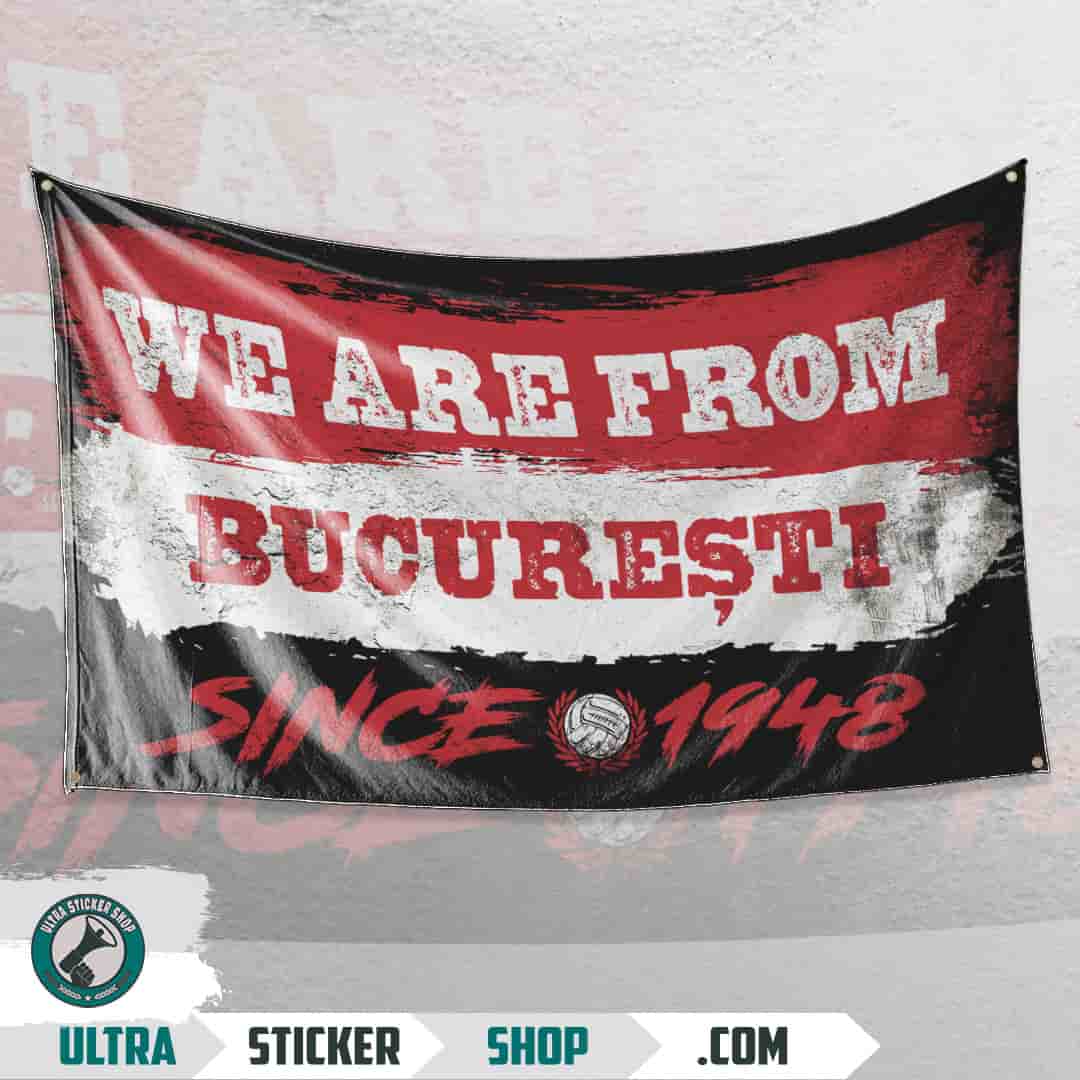 We are from Bucureşti since 1948 Flag