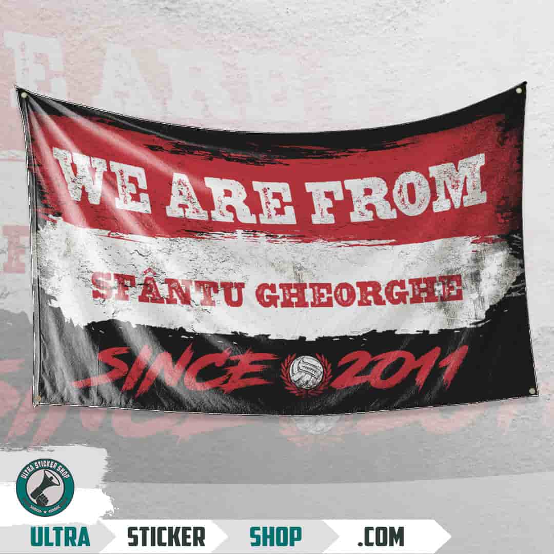 We are from Sfântu Gheorghe since 2011 Flag