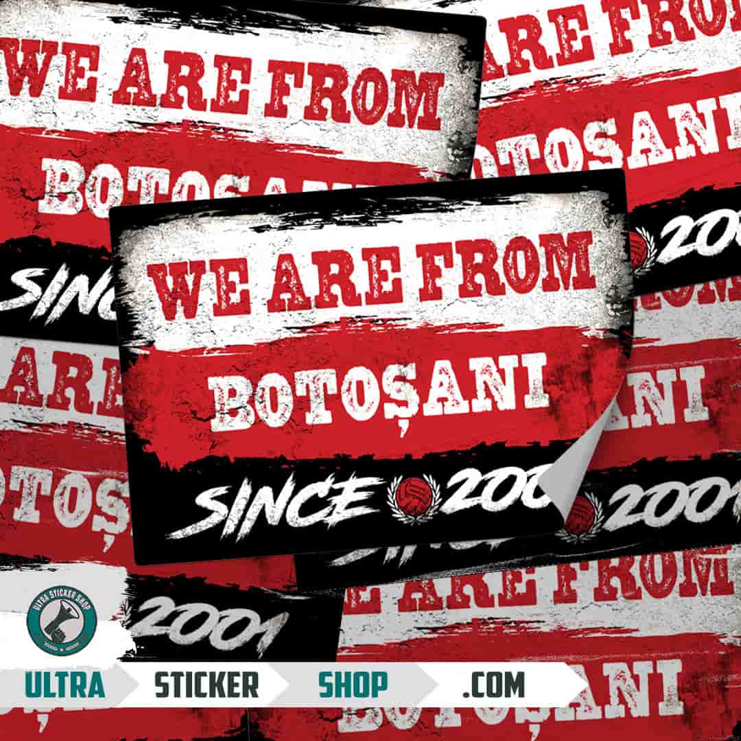 We are from Botoșani since 2001 Stickers