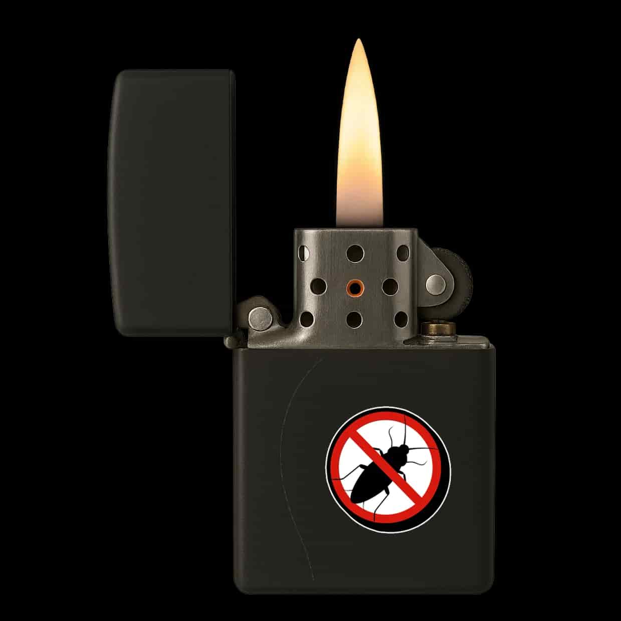 Anti Kakkerlak Lighter