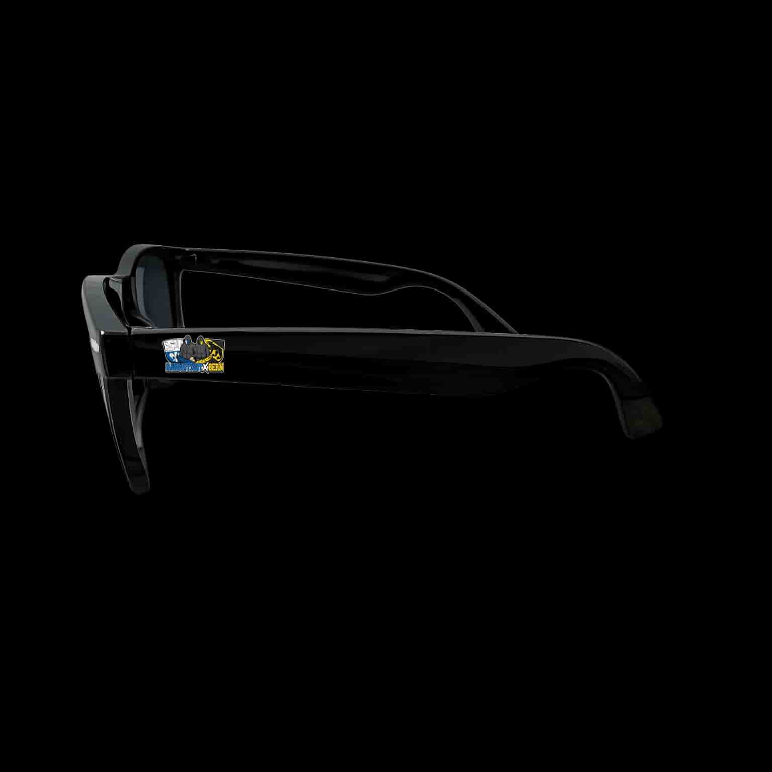Darmstadt X Bern Sunglasses