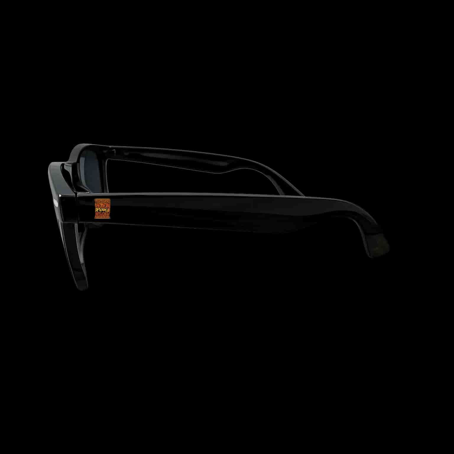 Wir sind die verein - dynamo dresden Sunglasses