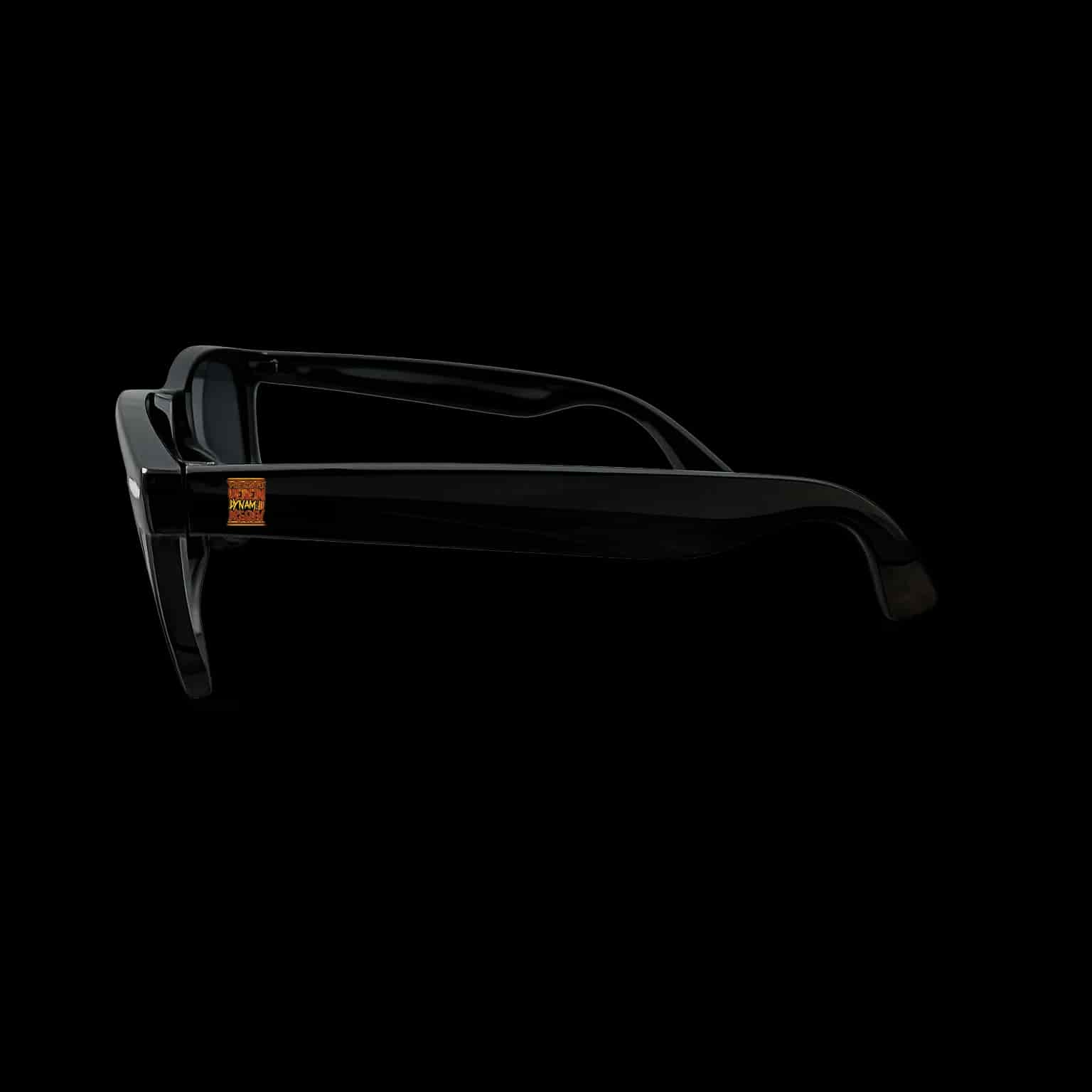 Wir sind die verein - dynamo dresden Sunglasses