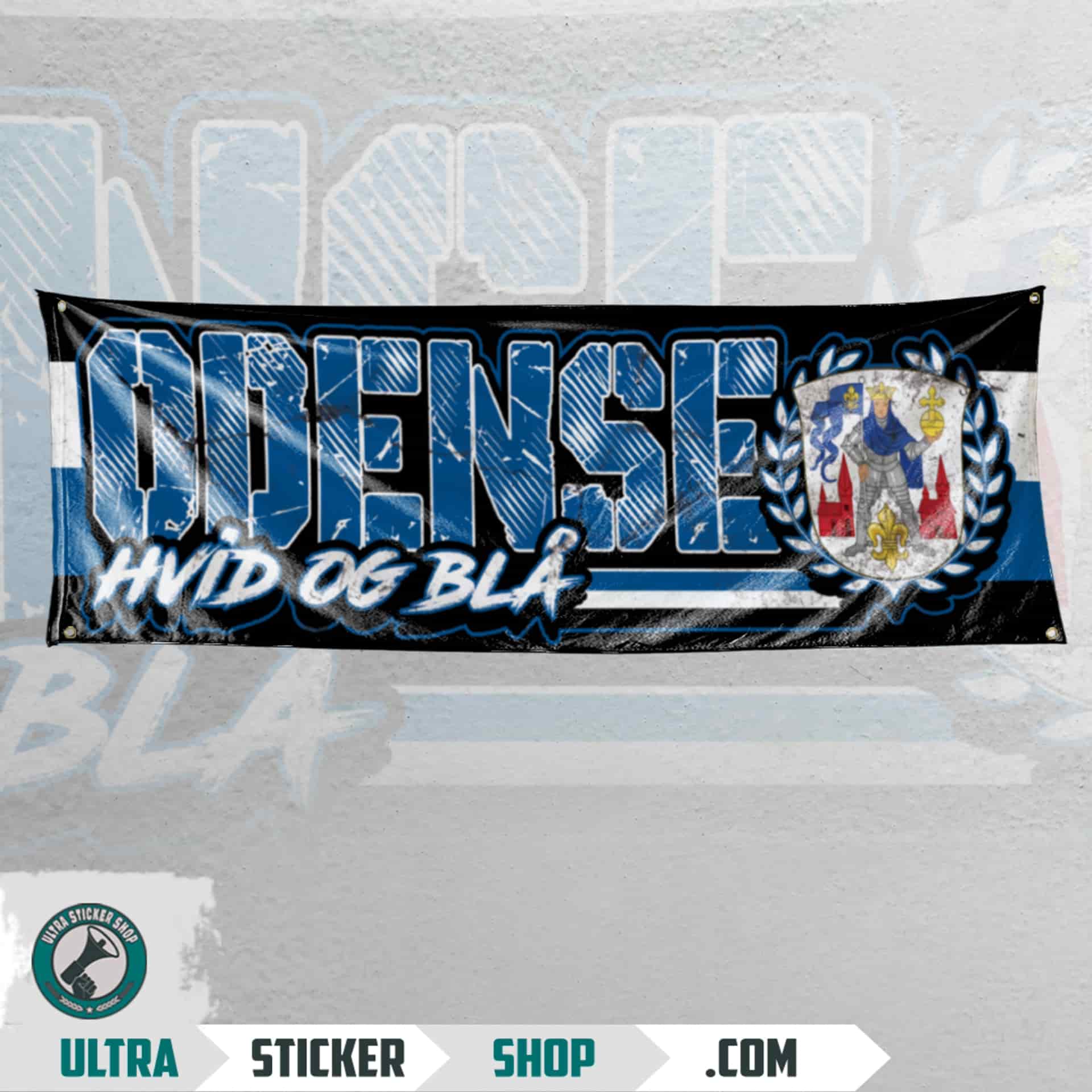 Odense hvid og blå Flag