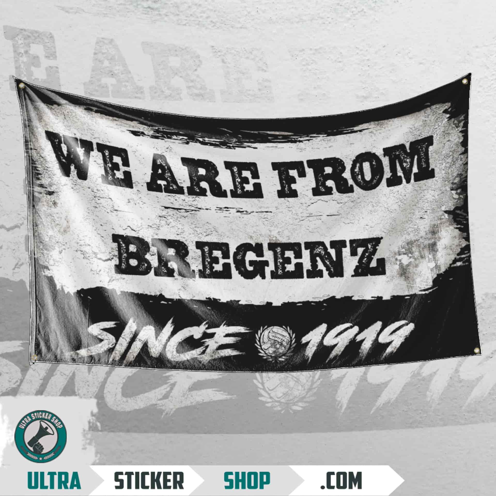 We are from Bregenz since 1919 Flag